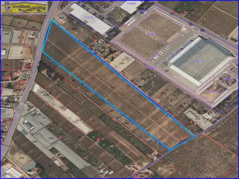 Finca rústica en Matanzas