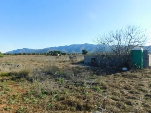 Finca rústica en calle 72, Parcela 446