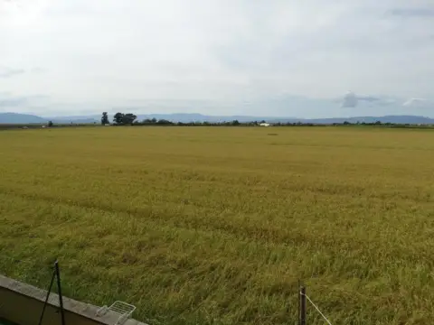 Apartamento en Carrer de l'Eucaliptus, 13