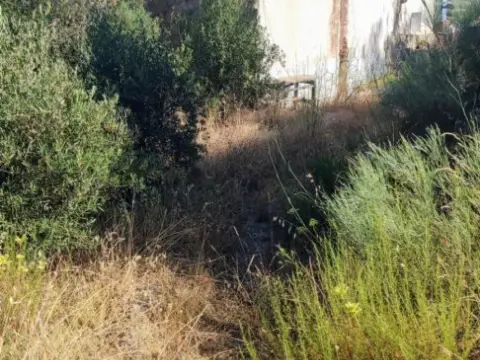 Finca rústica en Pueblo