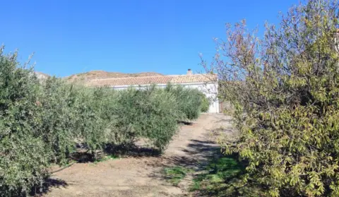 Finca rústica en Macael