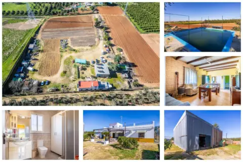 Finca rústica en Nueva Alcalá