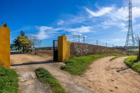 Finca rústica en Nueva Alcalá