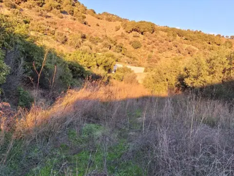 Terreno en Canillas de Aceituno