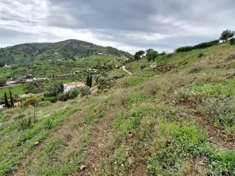 Terreno en Montaña de Torrox