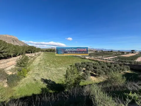 Terreno en La Ofra