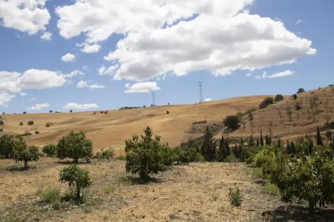 Finca rústica en calle Ctra Málaga-Campillos