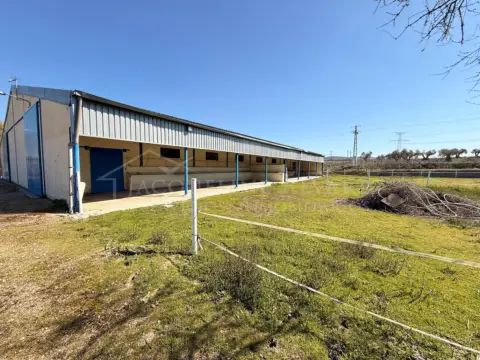 Finca rústica en Castilla La Mancha