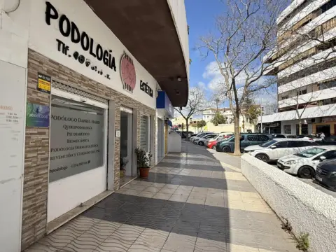 Local comercial en calle Palo Mayor