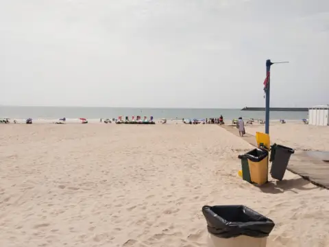 Piso en Avenida de la Constitución