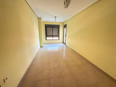 Piso en Avenida de la Constitución, 39