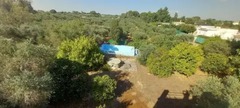 Finca rústica en Urbanización Casablanca