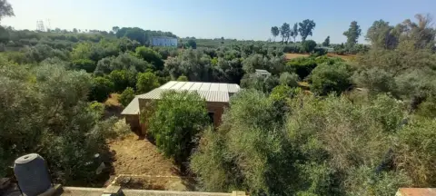 Finca rústica en Urbanización Casablanca