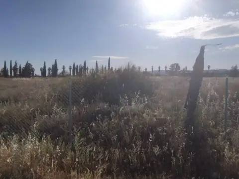 Terreno en Carretera a Palma del Río, 7
