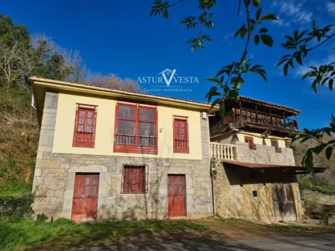 Piso – Grado