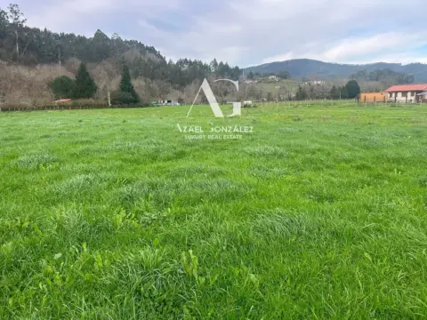 Terreno en Trebuesto