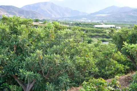 Terreno en Salobreña