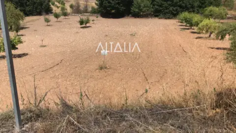 Terreno en Villalba del Rey