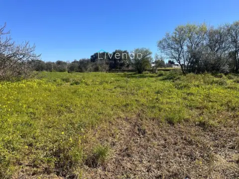 Terreno en Pinar de los Franceses-El Marquesado