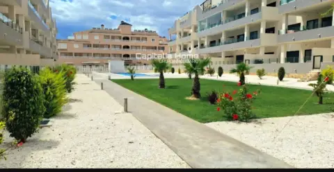 Pis – Orihuela