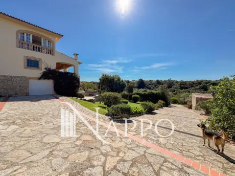 Chalet en S´Aranjassa