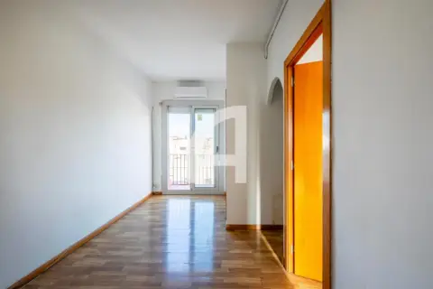 Estudio en Sants-Montjuïc