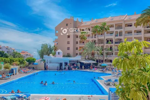 Estudio en Los Cristianos