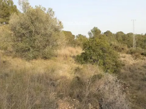 Terreno en calle Poligono