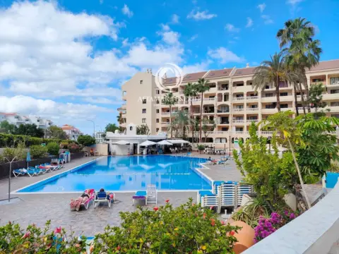 Piso – Arona