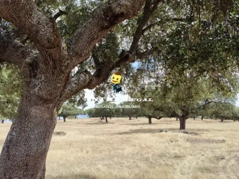 Terreno en San Pedro del Valle