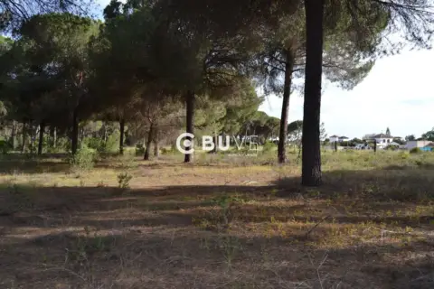 Terreno en calle Las Ánimas, nº 1