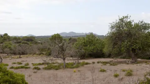 Finca rústica en Artà