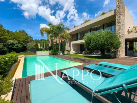 Chalet en Son Rapinya