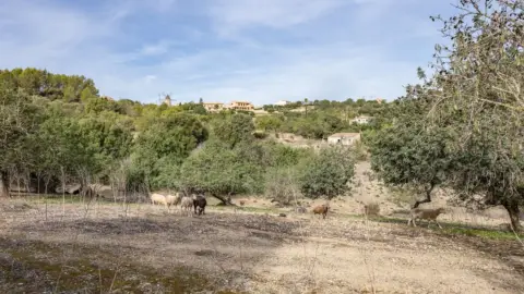 Finca rústica en Ullaro