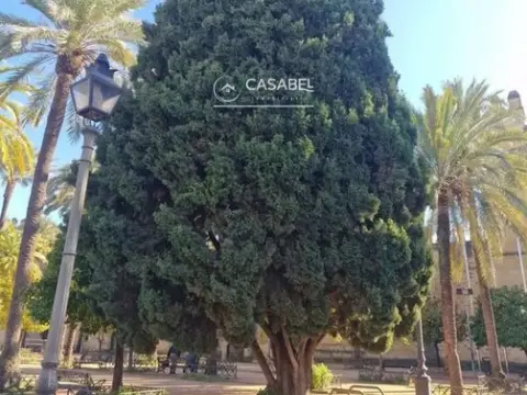 Chalet en Casco Histórico-Ribera-San Basilio