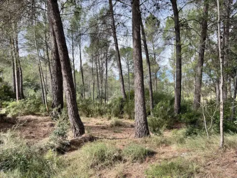 Terreno en calle Polígono 23. Parcela