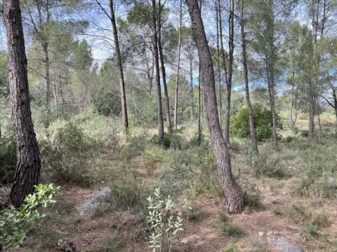 Terreno en calle Polígono 23. Parcela