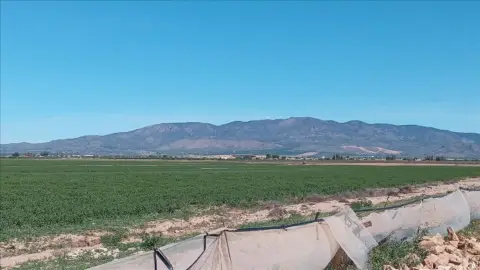 Terreno en calle Diputacion de Media Legua