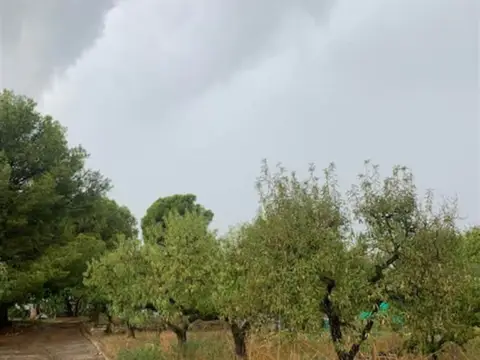 Casa en calle 7 - Parcela