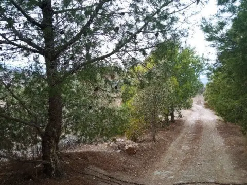 Casa en calle Pastor