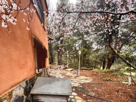 Casa en calle Sargento (El)