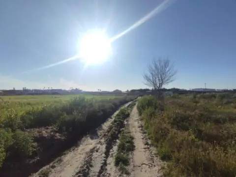 Terreno en calle del Alonsario