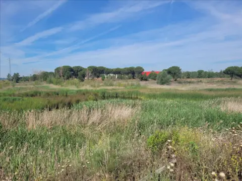 Terreno en calle 1 Parcela
