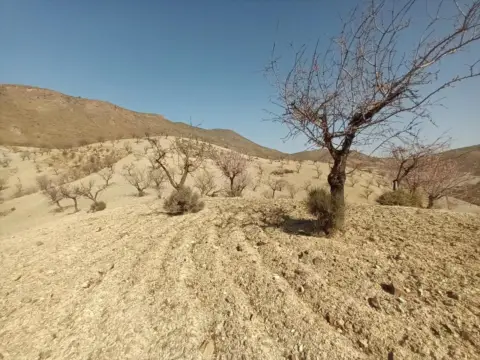 Terreno en calle Jara. Huercal-Overa