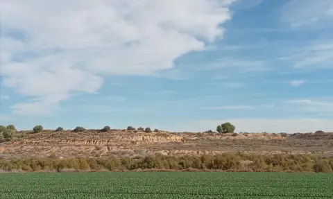 Terreno en calle Pp Granados
