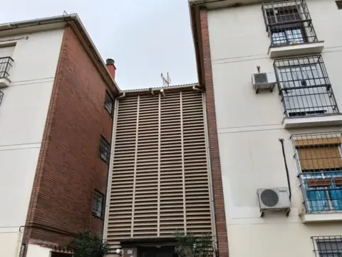 Piso en Avenida de la Alameda