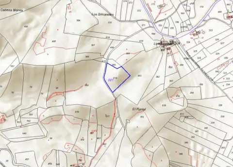 Terreno en calle nº 81 Parcela 618. Paraje los Simonetes