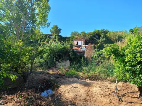 Casa en calle 23 Parcela