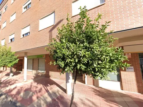 Piso en calle Farmacéutico Antonio Carazo Villar