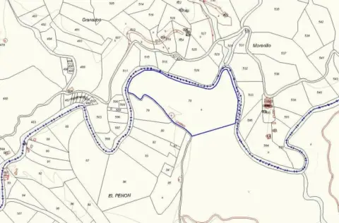 Terreno en calle Peñon El